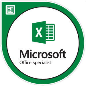 Microsoft Office Excel Specialist